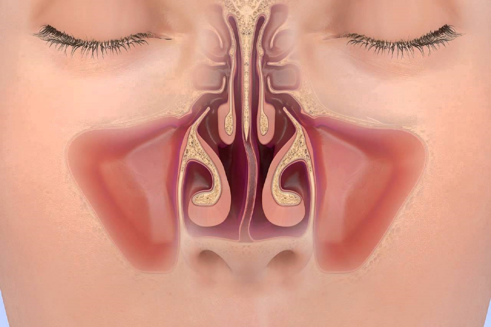Искривление носовой перегородки – когда можно сделать операцию и начать дышать свободно!